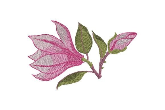 Pink Magnolia Flower: A Designer's Review for Business Merch